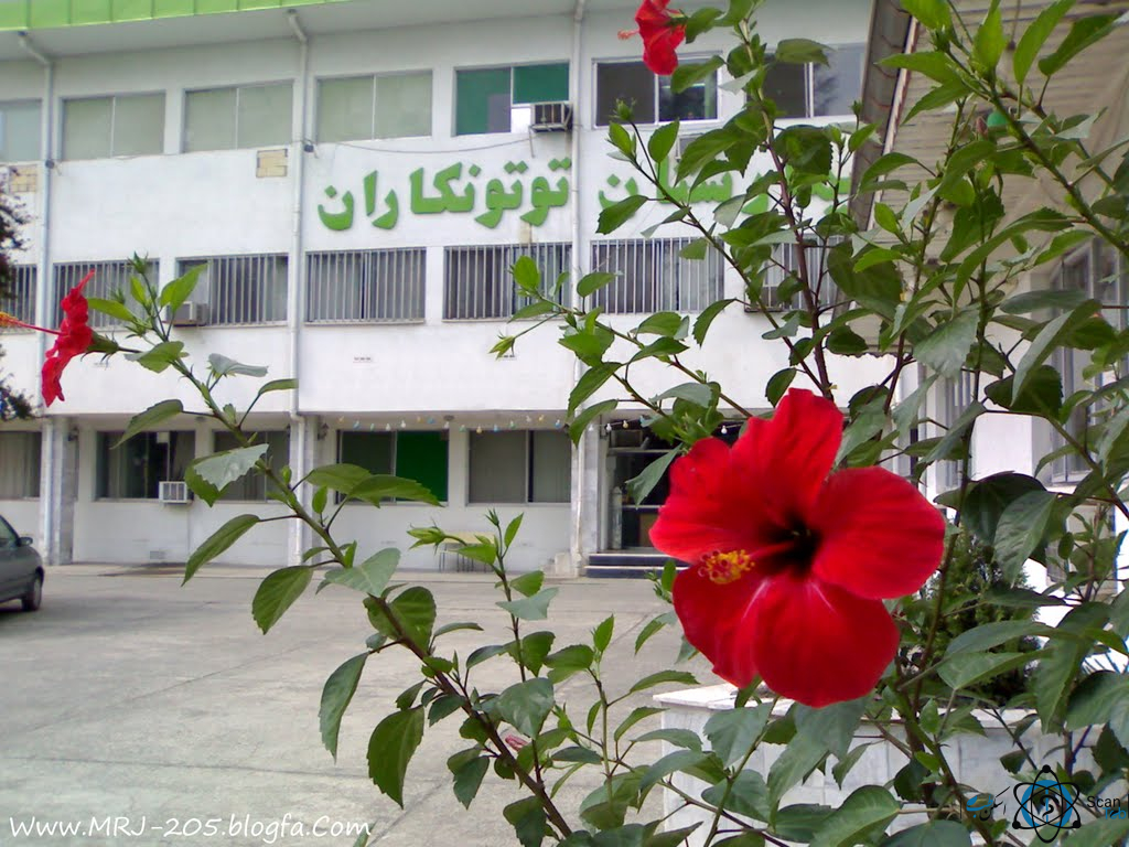 مرکز بیمارستان توتونکاران رشت گیلان