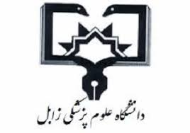 نشان بیمارستان سیدالشهدا زهک سیستان و بلوچستان